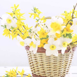 Serviette "Daffodil basket", 33 x 33 cm Servietten & Partyartikel