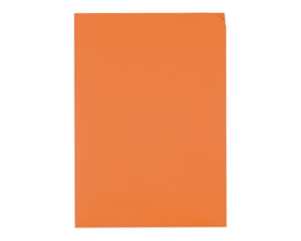 Ordo discreta orange, sans fenêtre, 120 g/m²  Ordo Chemises de classement, Organisation et pré­sentation, Ordo discreta