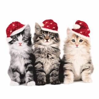 Weihnachtsserviette Katzen mit Mütze Servietten & Partyartikel